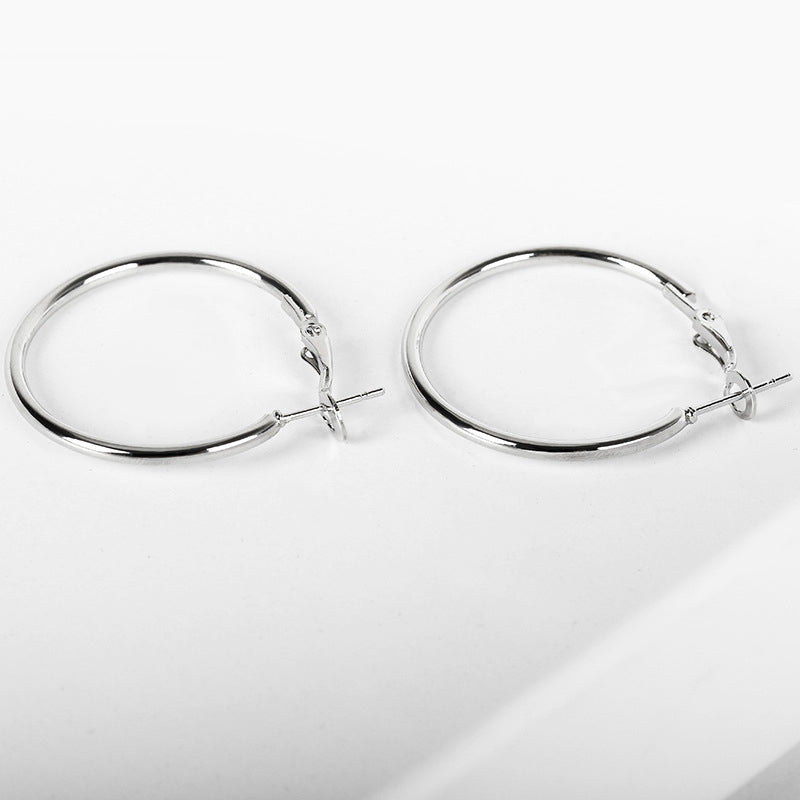 Stainless Steel Hoop Earrings (medium)