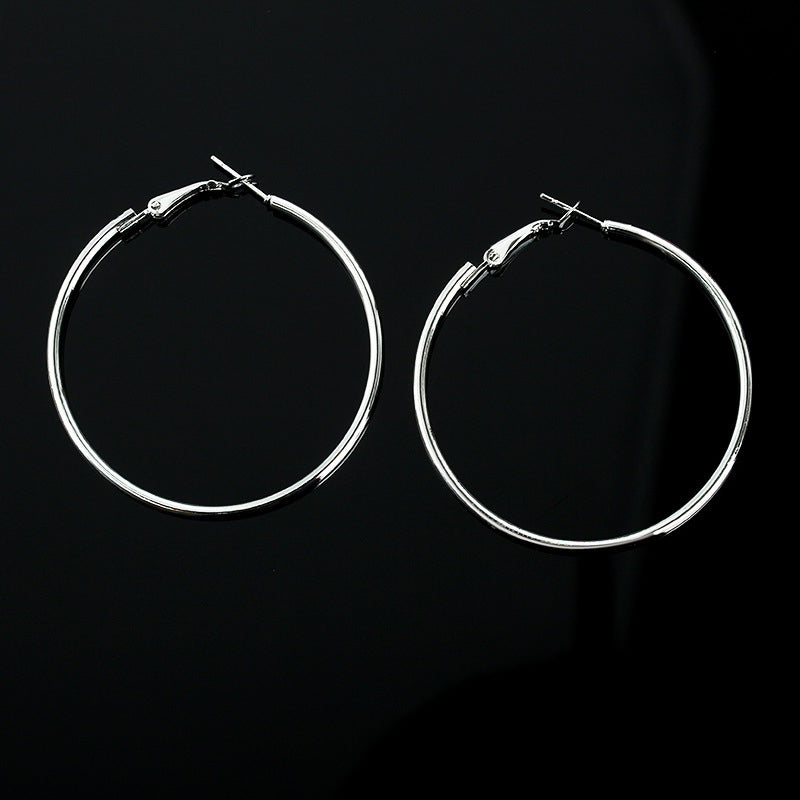 Stainless Steel Hoop Earrings (small)