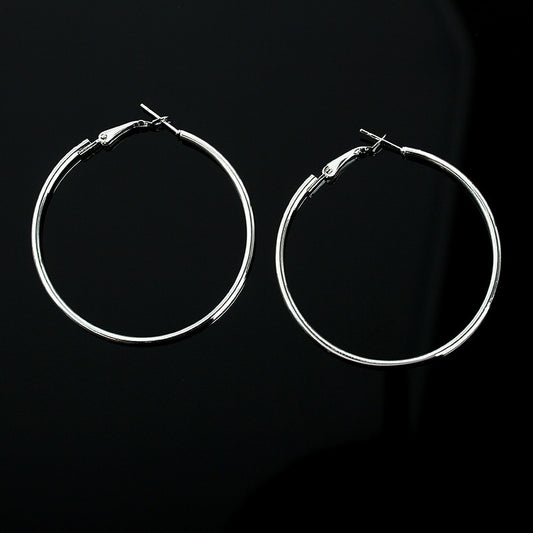 Stainless Steel Hoop Earrings (small)